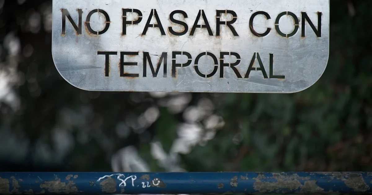 La trampa del éxito: Por qué crecer te está rompiendo (y cómo recuperar tu centro)