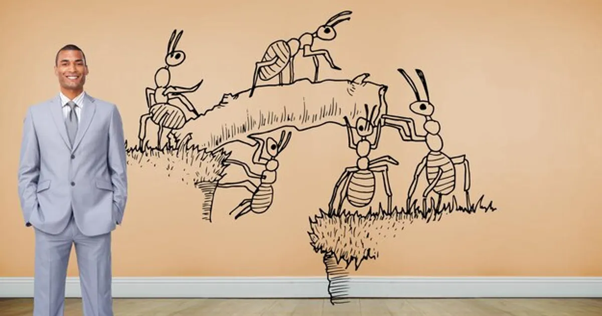 Tu vocación no es un destino, es una actualización: Cómo evoluciona tu propósito cada década